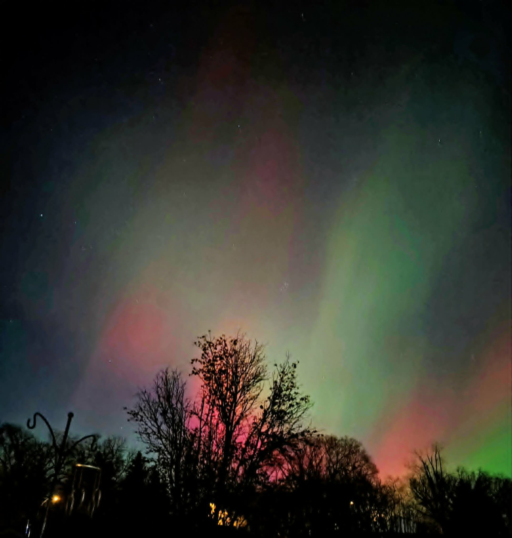 Nature and aurora photography preview